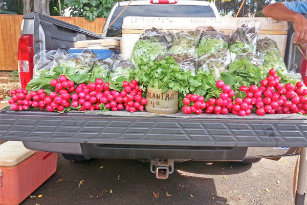 Koloa Farmer's Market Kauai