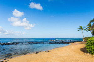 Baby Beach in Poipu Kauai