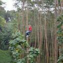 Ziplining in Koloa Kauai