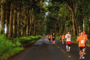 Kauai Marathon runners through the tunnel of trees