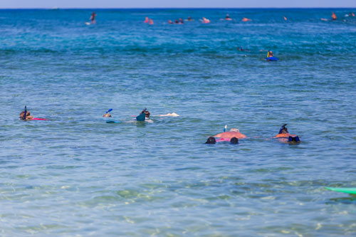 Snorkelers at Poipu Beach