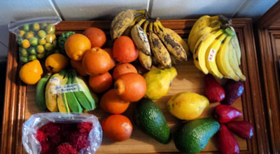 fruit selection from the kauai farmer's market