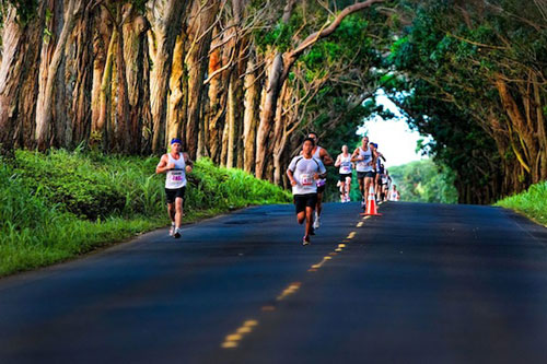 Running through the tree tunnel kauai marathon