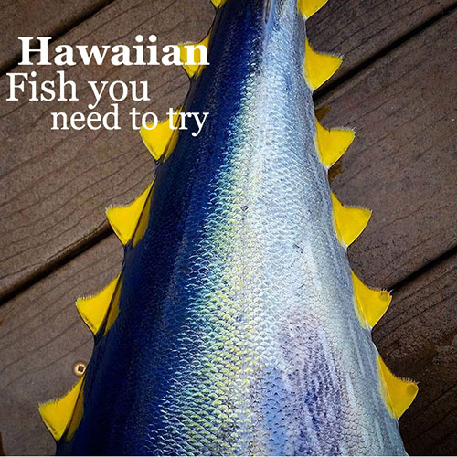 Hawaiian Fish you Need to try