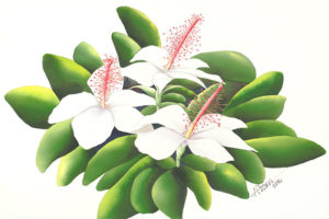 Aquarelles de fleurs indigènes hawaïennes